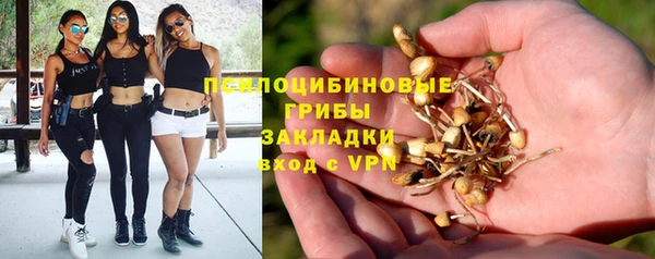 крисы Арсеньев